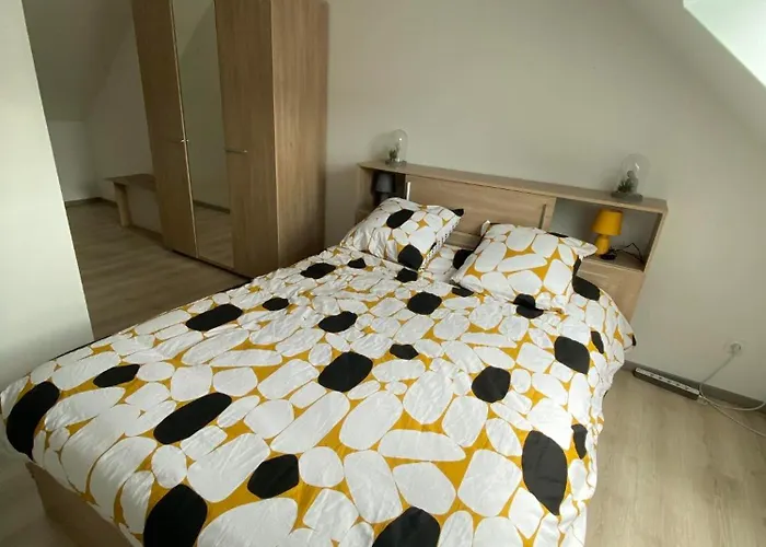 Appartement Neuf Vosges